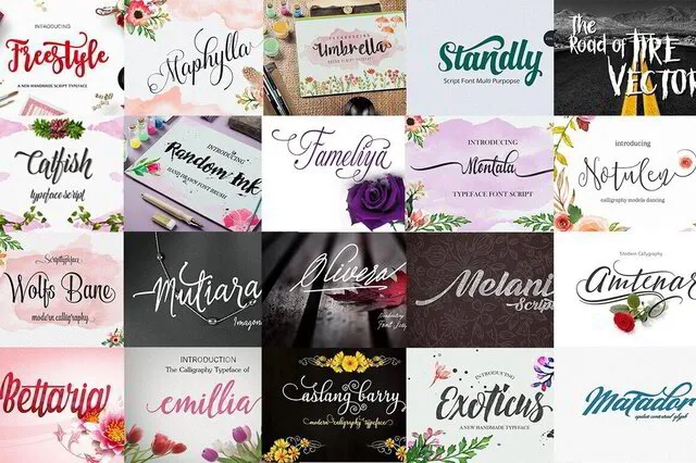 bundelllll o 6035825 1