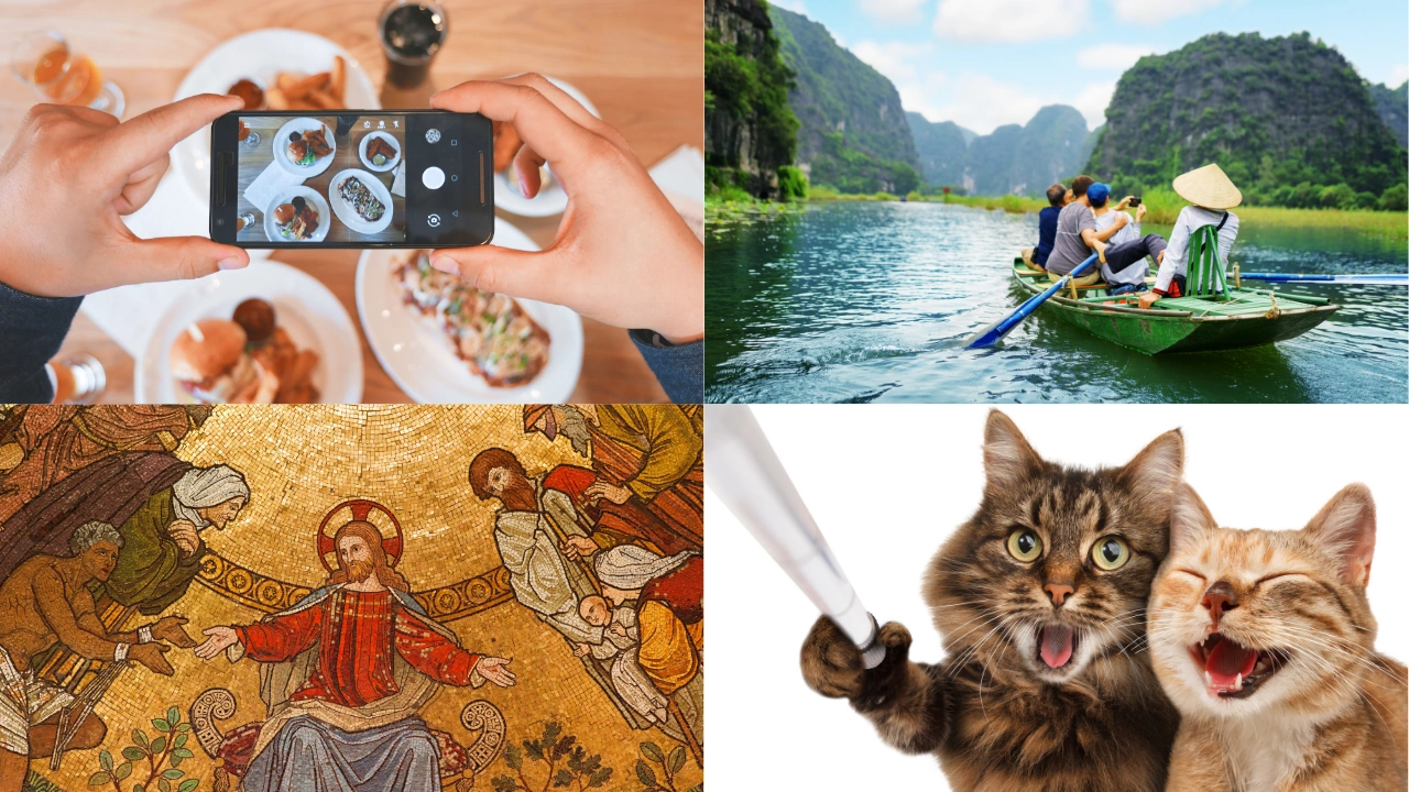 Royalty free stock images Royalty free stock images